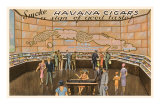 Smoke Havana Cigars Prints