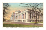 Muséum d'histoire naturelle, Washington DC Posters