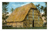Tobacco Barn, Cuba Photo