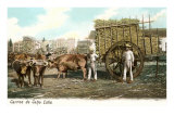 Sugar Cane Cart, Cuba Posters