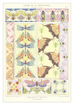 Decoration Album, Decorative Arts Photo