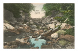 Pont, Nineveh, Connecticut Posters