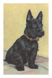 Scottie Dog Pósters