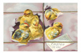 Happy Easter, Chicks Posters