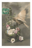Bonne Fete, Bird and Basket Photo