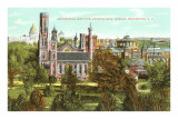 Smithsonian Institute, Washington D.C. Prints