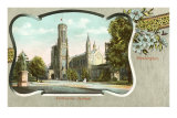 Smithsonian Institute, Washington D.C. Prints