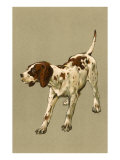 Pointer Lámina giclée Pointer Lámina giclée