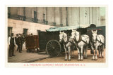 Horse-Drawn Currency Wagon, Washington D.C. Photo