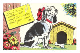 Sorry I Haven't Written Cartoon Spaniel Photo