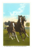 Three Running Horses Posters Three Running Horses Posters