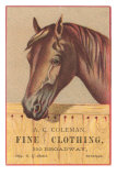 Advertisement with Horse Posters