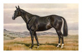 Cheval noir et robe lustrée Posters