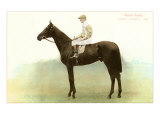 Rock Sand, Derby Winner, 1903 Giclee Print