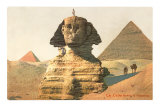 Sphinx, Pyramids, Egypt Posters