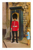 Buckingham Palace Guard, London, England Posters