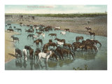 Round Up, Horses Watering Giclee Print
