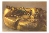 Mummy Case Pósters Mummy Case Pósters