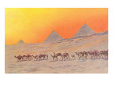 Pyramids, Camels, Egypt Lámina giclée Pyramids, Camels, Egypt Lámina giclée