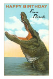 Happy Birthday from Florida, Alligator Posters