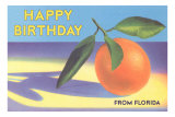 Happy Birthday from Florida, Orange Photo
