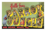 Hello from Parrot Jungle, Miami, Florida Posters