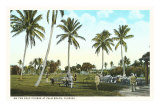 Golf Course, Palm Tees, Palm Beach, Florida Posters Golf Course, Palm Tees, Palm Beach, Florida Posters