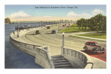 Bayshore Drive, Tampa, Florida Posters