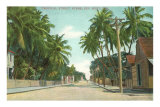 Street Scene, Key West, Florida Posters