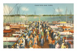 Fishing Docks, Miami, Florida Posters