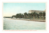 Royal Palm Hotel, Miami, Florida Posters