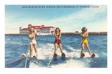 Water Skiers, St. Petersburg, Florida Print