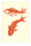 Koi Posters