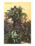 Flora of the Riviera, France Impressão giclée Flora of the Riviera, France Impressão giclée
