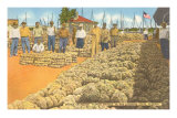 Sponge Exchange, Tarpon Springs, Florida Posters