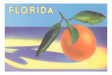 Florida Orange Prints