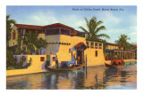 Collins Canal, Miami Beach, Florida Posters
