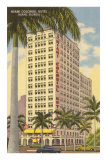 Miami Colonial, Miami, Florida Posters