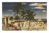 Moon over Sarasota, Florida Posters