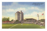 Spring Training, Sarasota, Florida Posters
