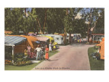Camping de caravanas, Florida Lámina giclée Camping de caravanas, Florida Lámina giclée