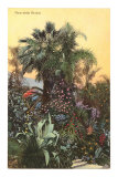 Flore de la Côte d'Azur, France Posters
