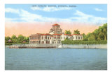 Ringling Mansion, Sarasota, Florida Print