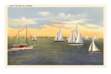 Yacht Racing in Florida Posters