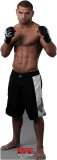 Thiago Alves Stand Up