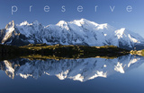 Preserve Poster
