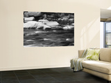 Rocks in the Swift River, White Mountain National Forest, New Hampshire, USA Wall Mural