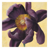 Kazehana II Giclee Print by Joanne Nichols