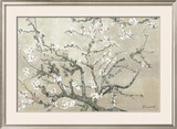 Almendro con flores, San Remy (Almond Branches in Bloom, San Remy, ca. 1890 (ocre)) Posters por Vincent van Gogh Almendro con flores, San Remy (Almond Branches in Bloom, San Remy, ca. 1890 (ocre)) Posters por Vincent van Gogh