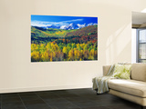 San Juan Mountains, Colorado, USA Wall Mural